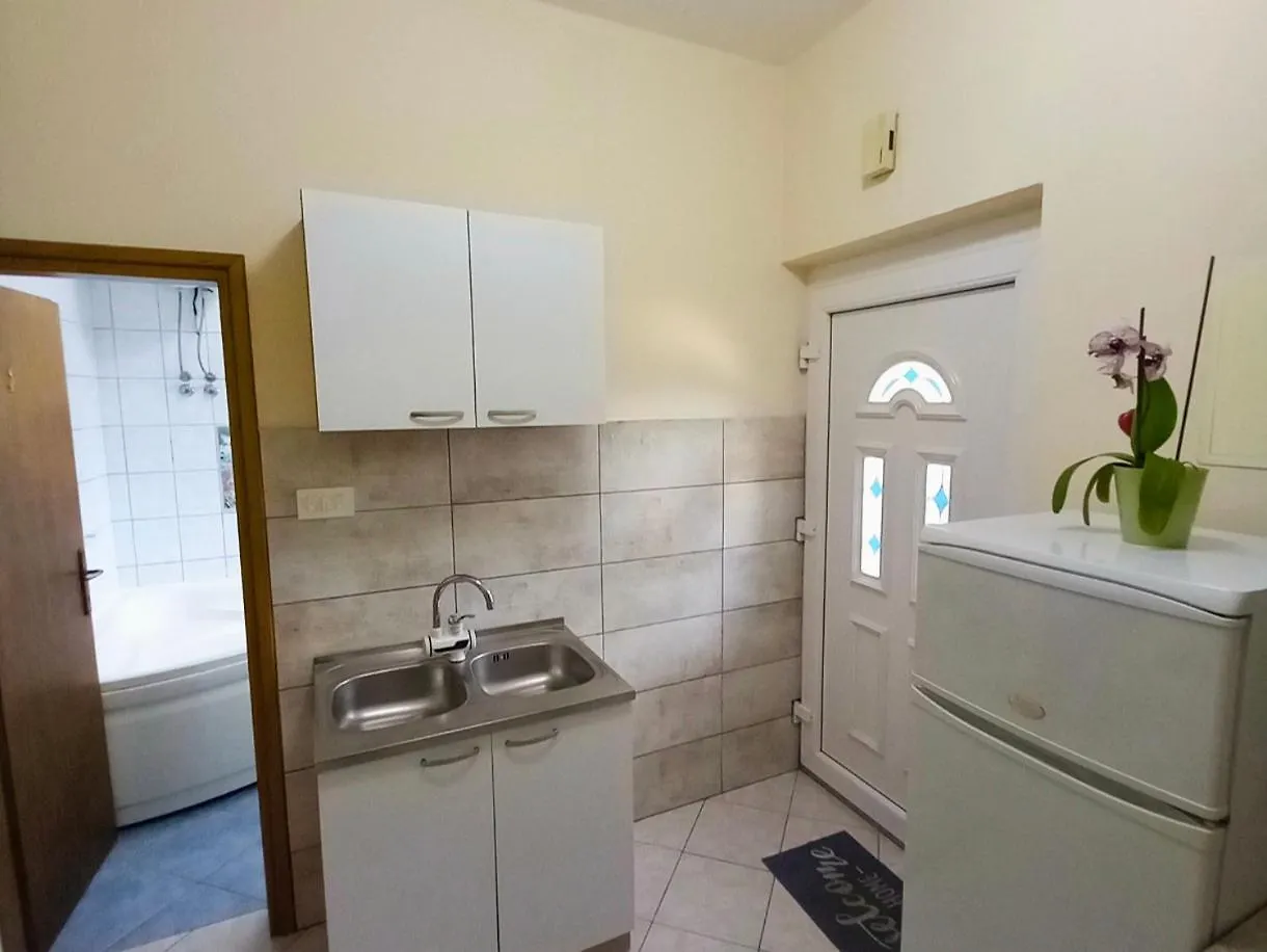 Apartment Appartaments Lion Marinici